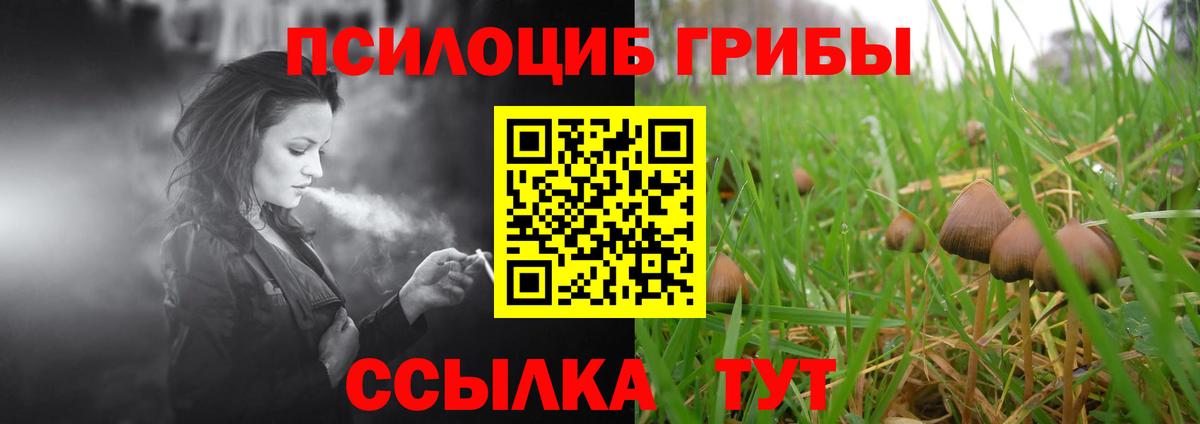 Казань  Псилоцибиновые грибы мицелий  Вход с VPN  Галлюциногенные грибы ЛСД 